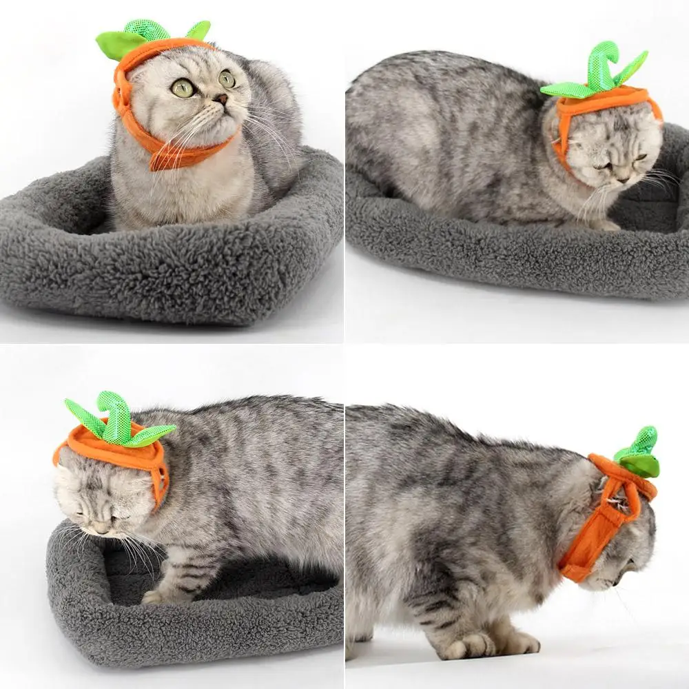 Хэллоуин Pet костюм «Тыква» для собак кошек Рождественская Одежда для собак Бульдог-Мопс одежда пальто для щенка куртки