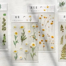 12 Designs Natural Daisy Clover Japanese Words Stickers Transparent PET Material Flowers Leaves Plants Deco Stickers Flower