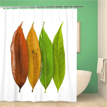 

Bathroom Shower Curtain Green Autumn Color Leaves Clipping Path of Longan Yellow Polyester Fabric 72x72 inches Waterproof Bath