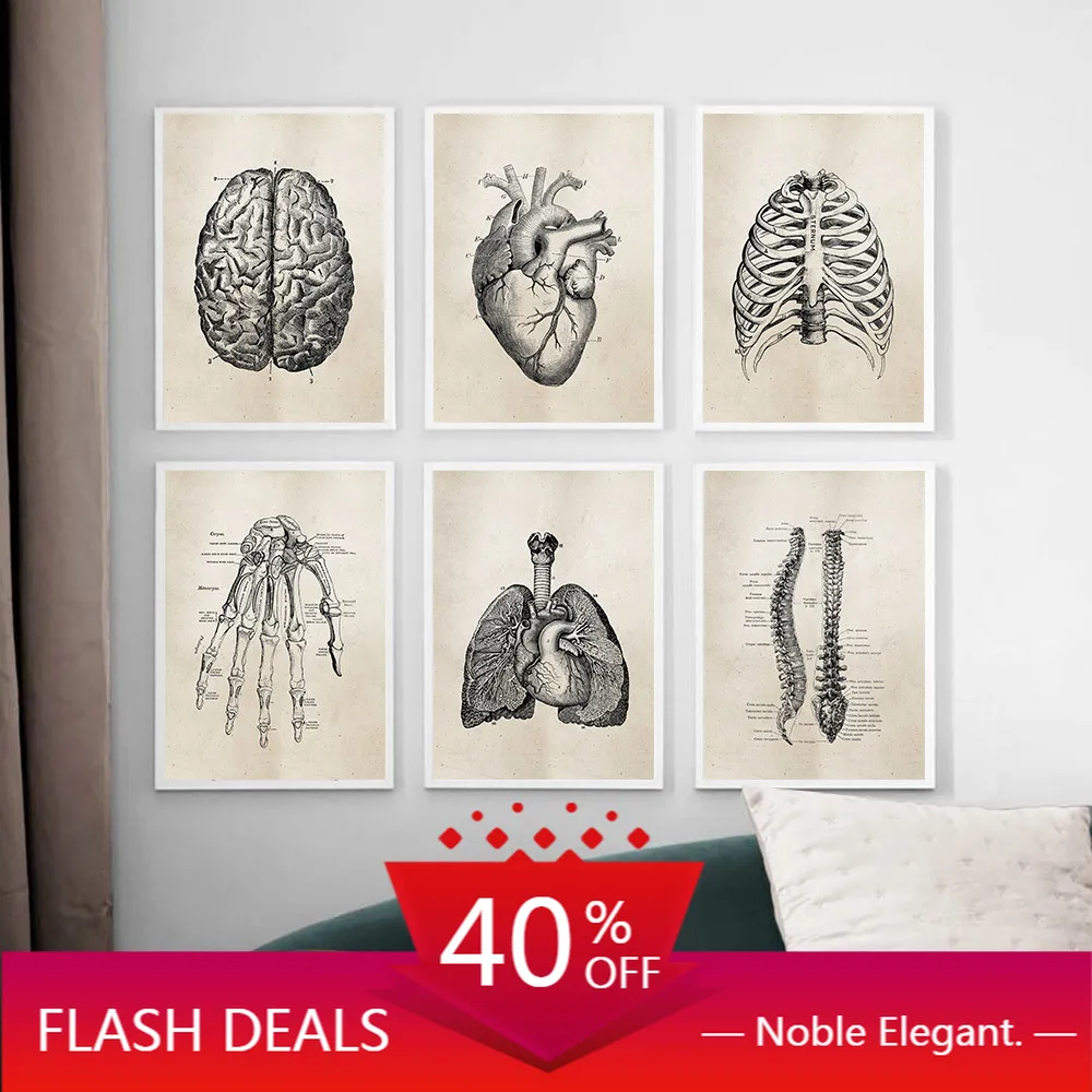 

Human Anatomy Science Retro Poster Skeleton Heart Patent Vintage Print Painting Pictures Medical Doctor Clinic Wall Decor 122/