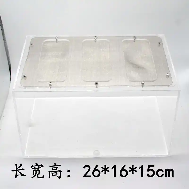 Grosse Insekten Box Ameisen Box Acryl Ameisen Farm Ameisen Nest Klebrige Box 26 16 15cm Kann Verwendet Fur Futterung Bereich Oder Diy Insektenbedarf Aliexpress