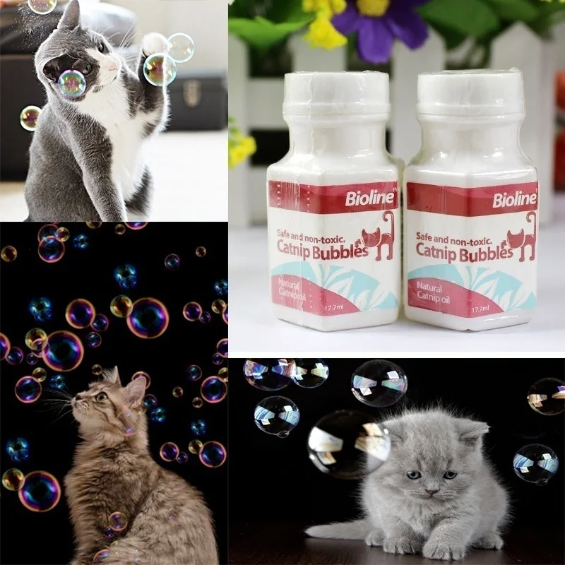 5cf8c840d6f24a3f9581bcb5-3-original