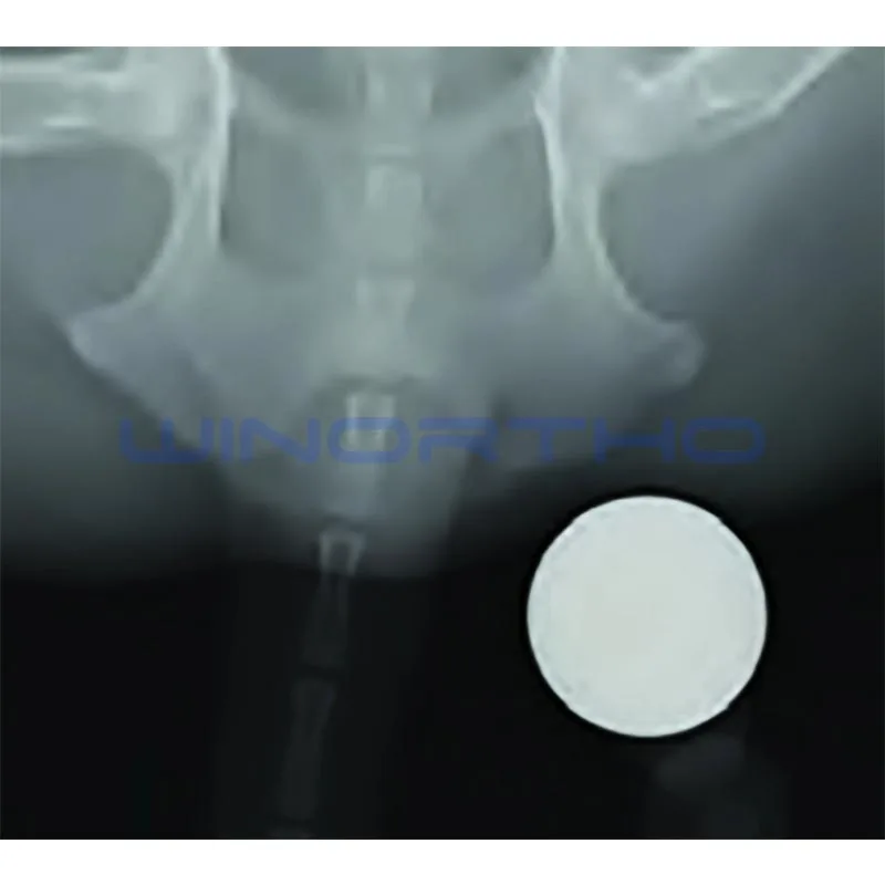 Radiographic Reference Ball veterinary orthopedic instrument animal