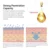 BREYLEE Retinol Serum Anti-Aging Lifting Firming Collagen Facial Essence Удаляет морщины Снимает Тонкие Линии Восстанавливает Подтягивает Кожу