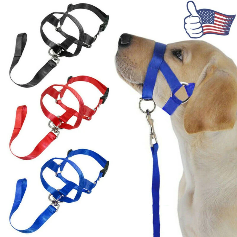 dog walking training collar