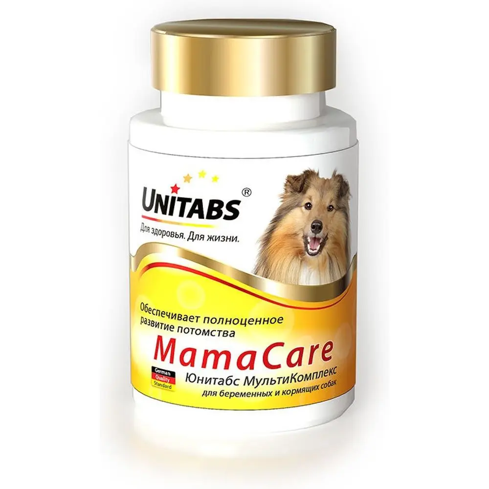 What Vitamins Are Good For Pregnant Dogs