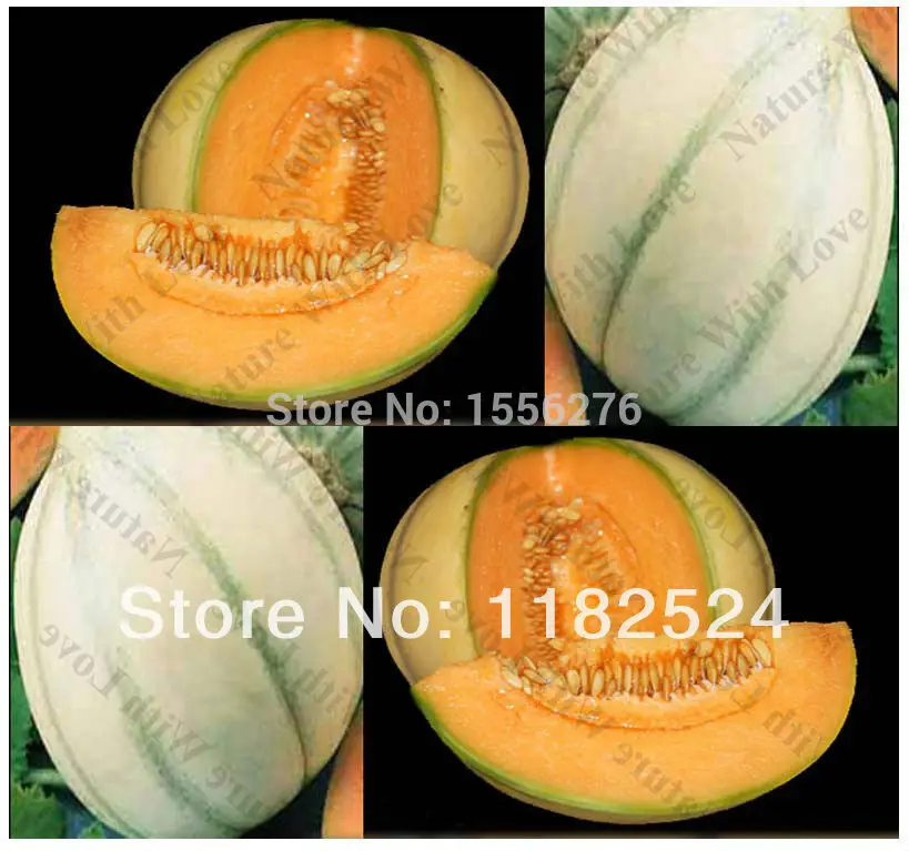 Сочные и сладкие 50+ Heirloom Charentais Cantaloupe P-semillas~ rganic Дыня Фрукты sementes