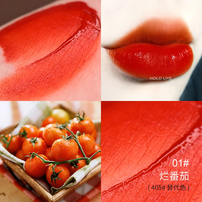 Hold live velvet matte lip gloss long lasting waterproof air cushion pigment sexy red tomato orange peach liquid lipstick BN201