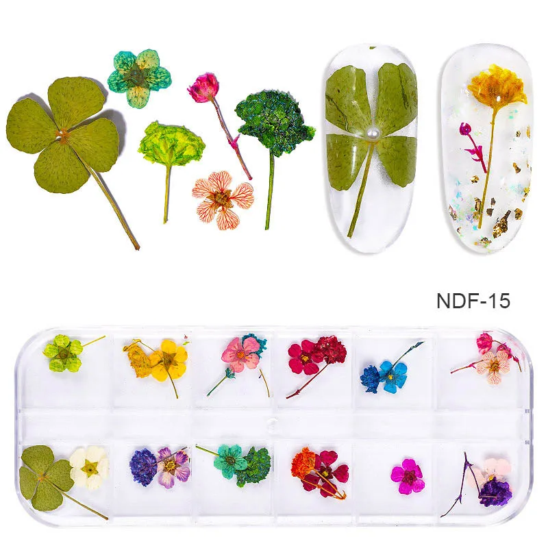 3d натуральные ромашки Гипсофилы 12 сеток для украшения ногтей DIY наклейки сушеные цветы маникюрные аксессуары инструменты для красоты