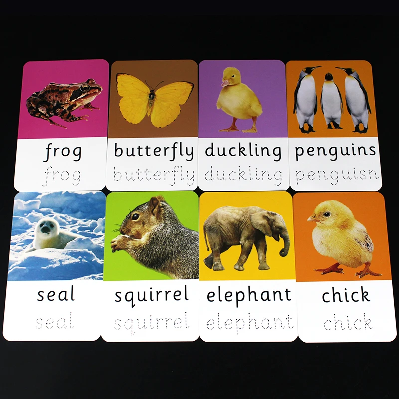 26pcs Kids English Animal Educations Flashcard Word Reusable Writing  Handwriting Montessori Practice Learn Card For Student Aids - Writing  Skills - AliExpress
