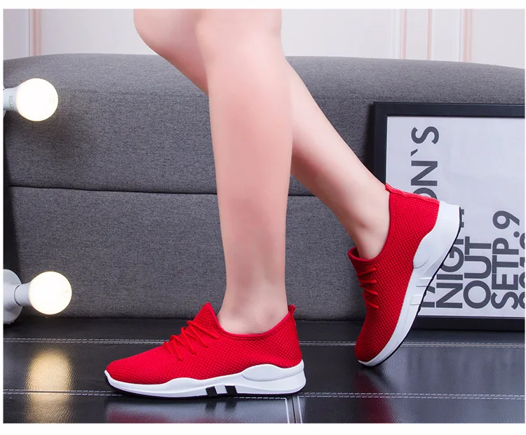 8148667688_203562608