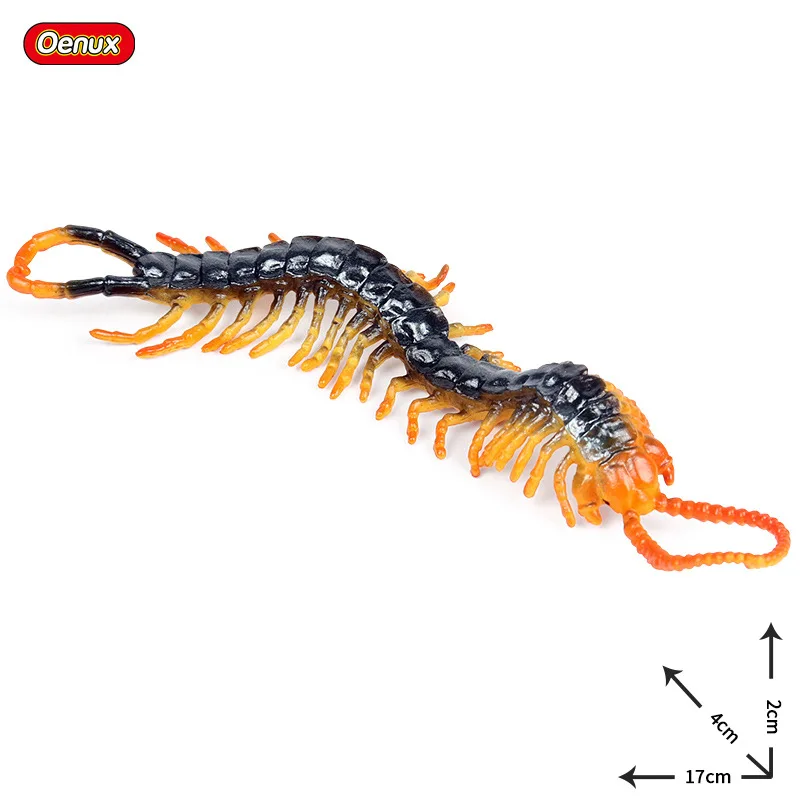 Model Solid Static Wild Animal Model Centipede Children Early Childhood Cognitive Plastic Toys Decoration Garage Kit