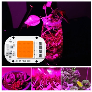 

10-50W AC 220V Led Grow Light Chip Full Spectrum Greenhouse LED Growth Lamp Diode Promote Seedlings Plants Growing New