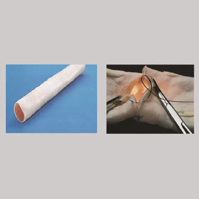 

BIX-LV7 Medical Lntestinal Bowel Canal Anastomosis Training Model