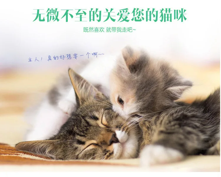 Thick Environmentally Friendly Extra Large Cat Toilet Sturdy Washable Oversized Litter Box Semi-Enclosed Leak-Proof Cat Litter B