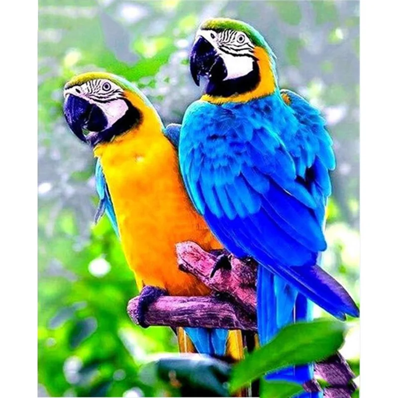 

Full Square/Round Drill 5D DIY Diamond Painting "Animal parrot bird" Embroidery Cross Stitch 3D Home Decor Gift