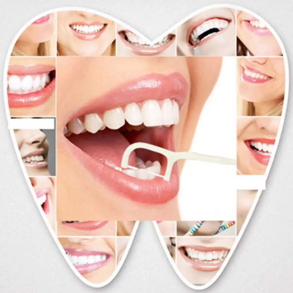 

Disposable Dental Flosser Interdental Brush Teeth Stick Toothpicks Floss Pick Oral Gum Teeth Cleaning Care