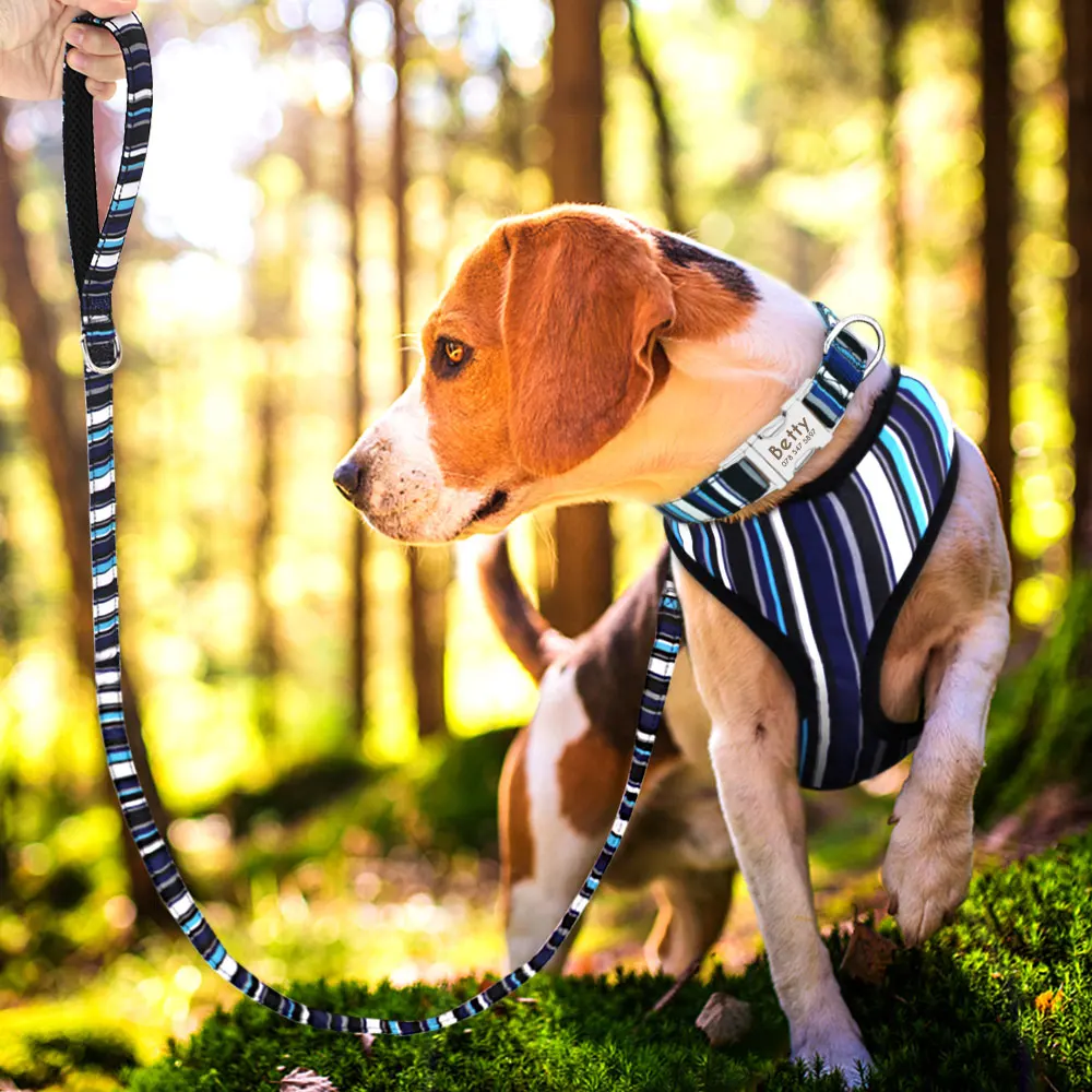 Collar de nailon personalizado para perro, arnés mascota ajustable, conjunto de correa para cachorro, arnés para perros pequeños, medianos y grandes - AliExpress