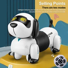 LE NENG-Robot electrónico programable con sonido para niños, juguete de Perro Robot RC, Robot robótico para acrobacias, regalo de cumpleaños