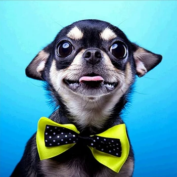 

Full Drill Bow Puppy 5D Diamond Painting Cross Stitch Embroidery Decor Xmas Gift