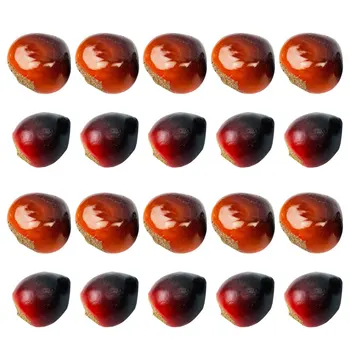 

20pcs Creative Desktop Decor Foam Chinese Chestnuts for Store Tree