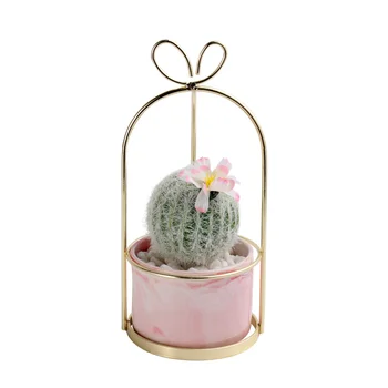 

1Pc Creative Simulation Plant Artificial Prickly Pear Desktop Ornament for Home Office Decor (Notocactus Haselbergii)