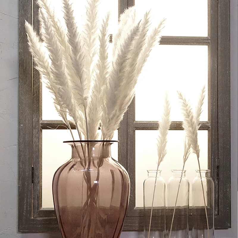 Камыш натуральный высушенный маленький пампасной травы Phragmites растения