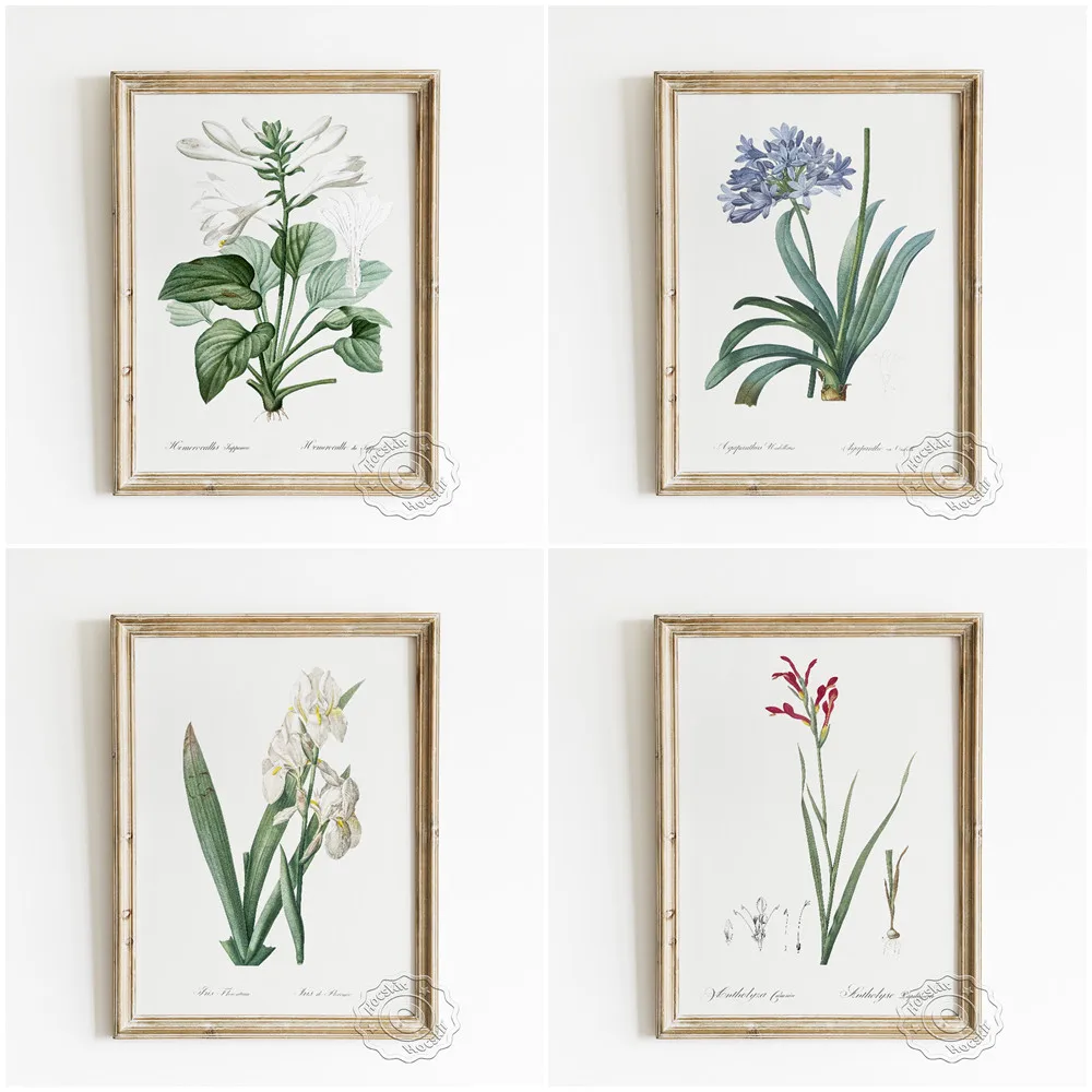 

Various Flowers Plants Art Poster, Watercolour Ornamental Flora Wall Picture, Quietly Elegant Flower Home Decorative Painting