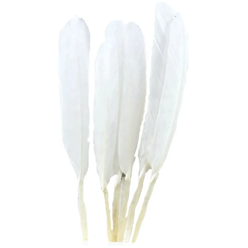 white 20-100 шт./лот, красные утиные перья, вечерние украшения, 10-15 см - Цвет: white