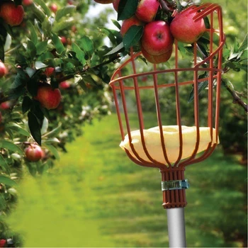 

Garden Tools Fruit Picker Head Aluminum Fruit Picking Tools Fruits Catcher Picking Apple Citrus Pear Peach Hand Tools