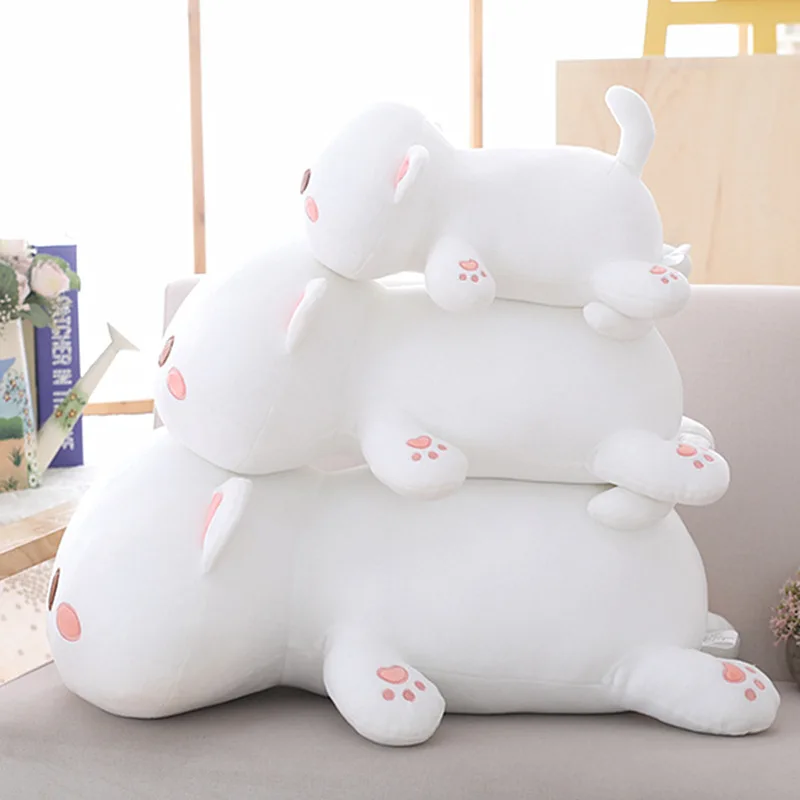 10974200982_1704633697