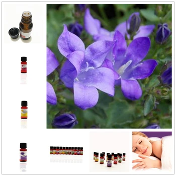 

Chinese Bellflower Fragrance Aromatherapy Essential Oils Cold Press Plum Blossom Aromatherapy Oil for Diffuser Humidifier 1Pcs