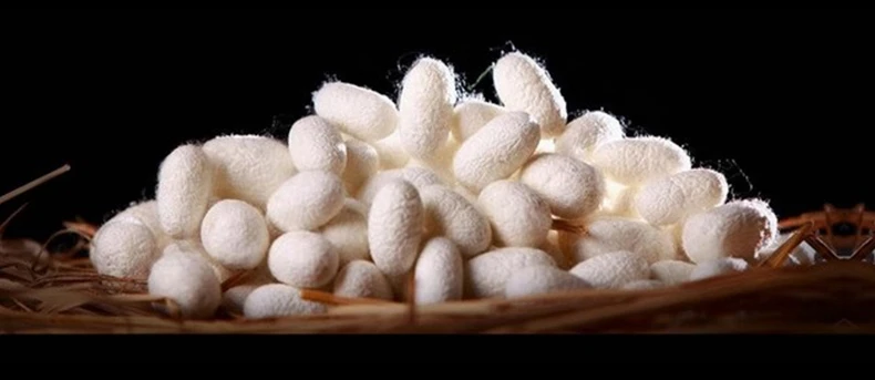 O1CN011pEyrW1sXSBt7g1SU_!!253285776