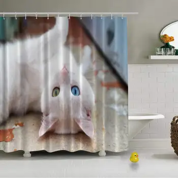 

White Cat Different Eyes Oddeyed Kitten Photo Durable Shower Curtain for Bathroom,72''L x 72''W