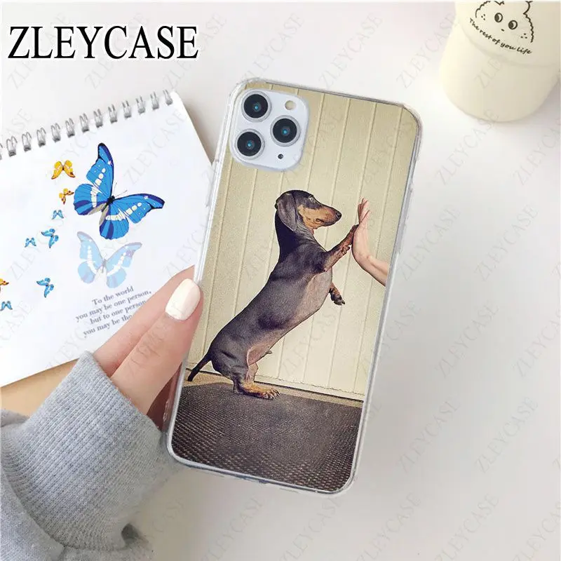 black Dachshund Doberman Dog face