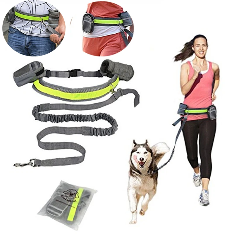 Pet Dog Cat Elastic Reflective Belt Running Jogging Leash Set