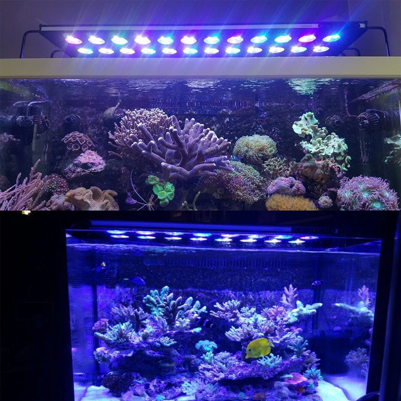 水族館の水槽用のledライト 完全なサンゴの光スペクトル アプリケーションによる制御 日の出と日没の光 照明 Aliexpress
