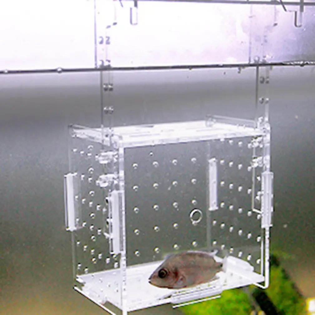 

Aquarium Transparent Aquarium Fish Fry Incubator Breeding Box Production Box Single And Double Grid Isolation Network