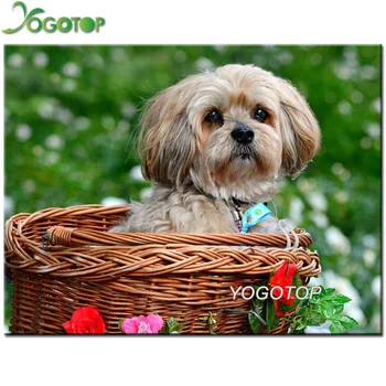 

diy Diamond Embroidery dog Lhasa Apso Full display Mosaic Picture Of Rhinestones paint Diamond Painting Cross Stitch pet YY2212