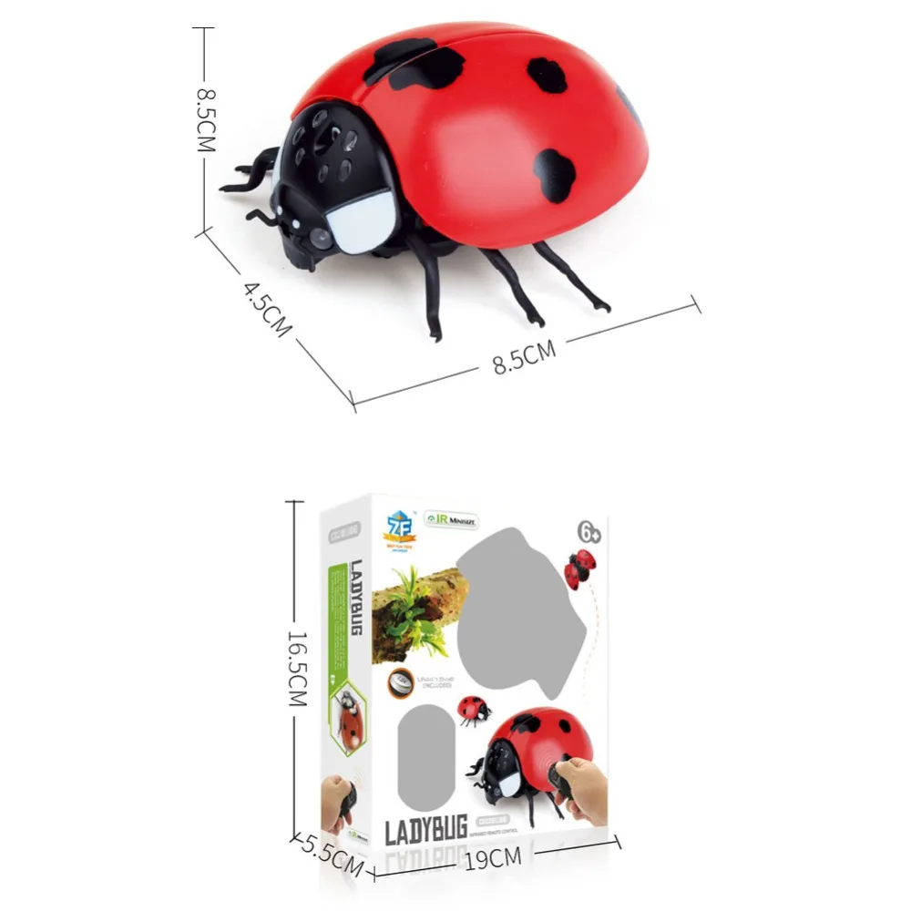 307085_no-logo_307085-1-16-g