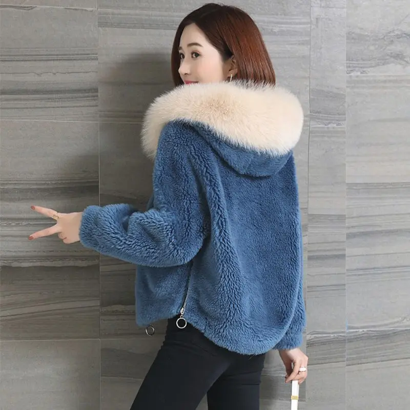 

Faux Fur Coat Women Clothes 2020 Autumn Winter Fake Fur Jacket Hooded Korean Plus Size Coats Fourrure Femme KJ3604
