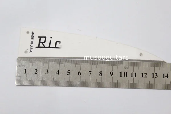 

Ric truss rod cover with three screws
