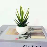 Mini Artificial Aloe Plants Bonsai Small Simulated Tree Pot Plants Fake Flowers Office Table Potted Ornaments Home Garden Decor 2