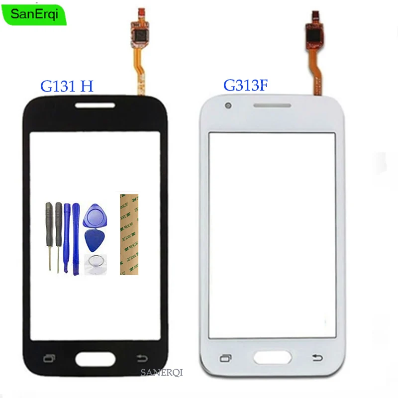 G313H
