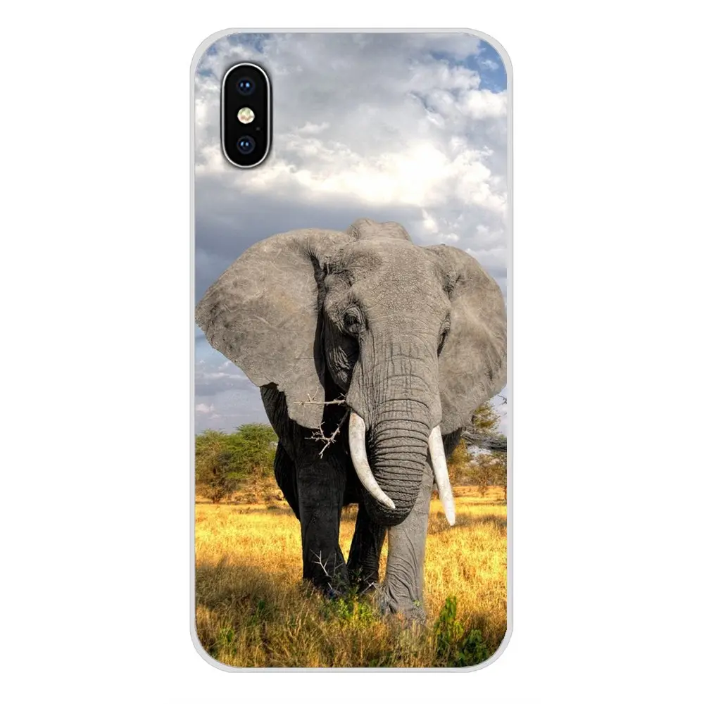 images 11 Для huawei G7 G8 P7 P8 P9 P10 P20 P30 Lite Mini Pro P Smart Plus аксессуары чехол для телефона Индийский Слон анима - Цвет: images 11