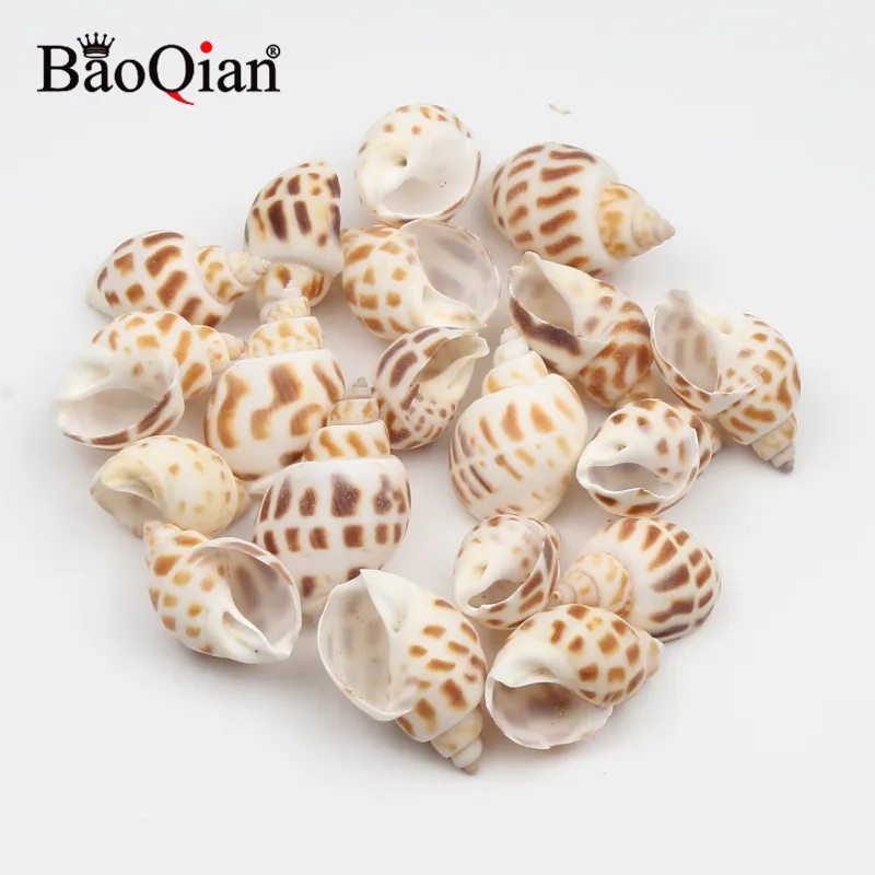 20Pcs 20-30mm Natural Conch Shells Dongfeng Screw Wall Decoration DIY Aquarium Landscape Seashells Crafts Home Decor |