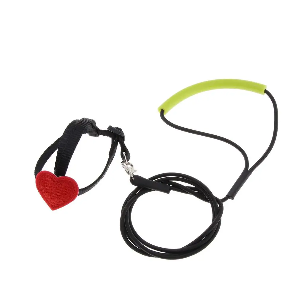 Bird Parrot Harness Leash Pet Rope For Birds Outdoor Training Leash Parrot Bird Leash Bird Harness Leash