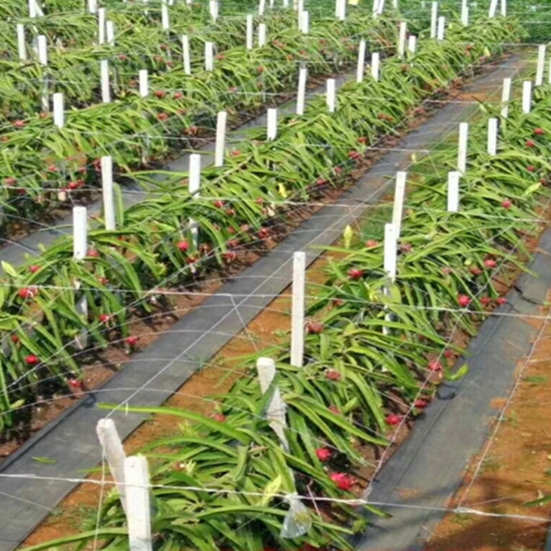 O1CN01zeX1tw1DxeZGcOde8_!!2814650283