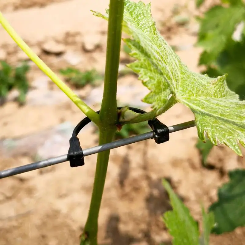 

100pcs Vines Fastener Tied Clips Buckle Hook Garden Plant Vegetable Grafting Clips Grape Support Vine Clips Fixed Buckle Hook