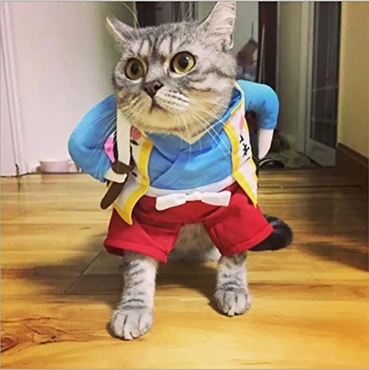Забавная для кошек собак Костюм Униформа костюм Одежда для кошек костюм Одежда для щенков нарядный костюм праздничная одежда для кошек одежда для костюмированной вечеринки